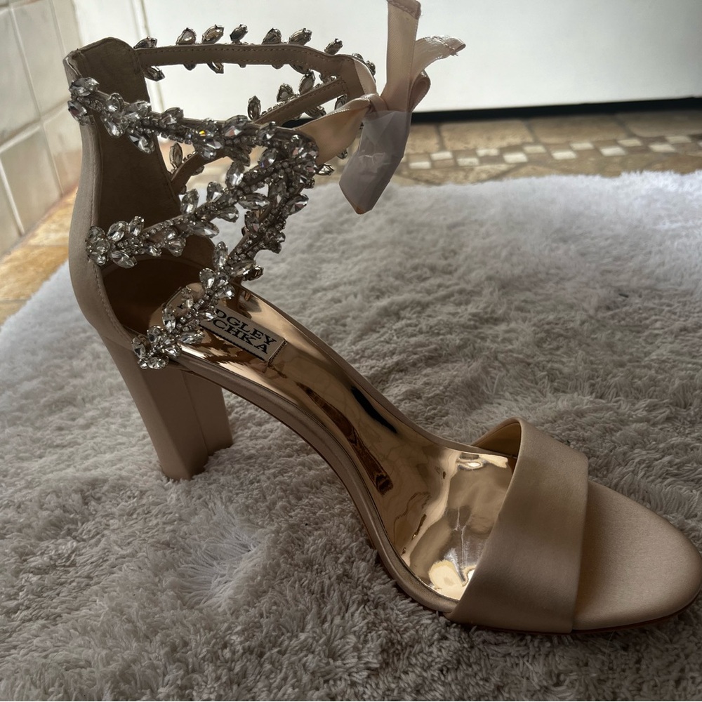 NEVER WORN Size 10 Badgley Mischka Nude Satin